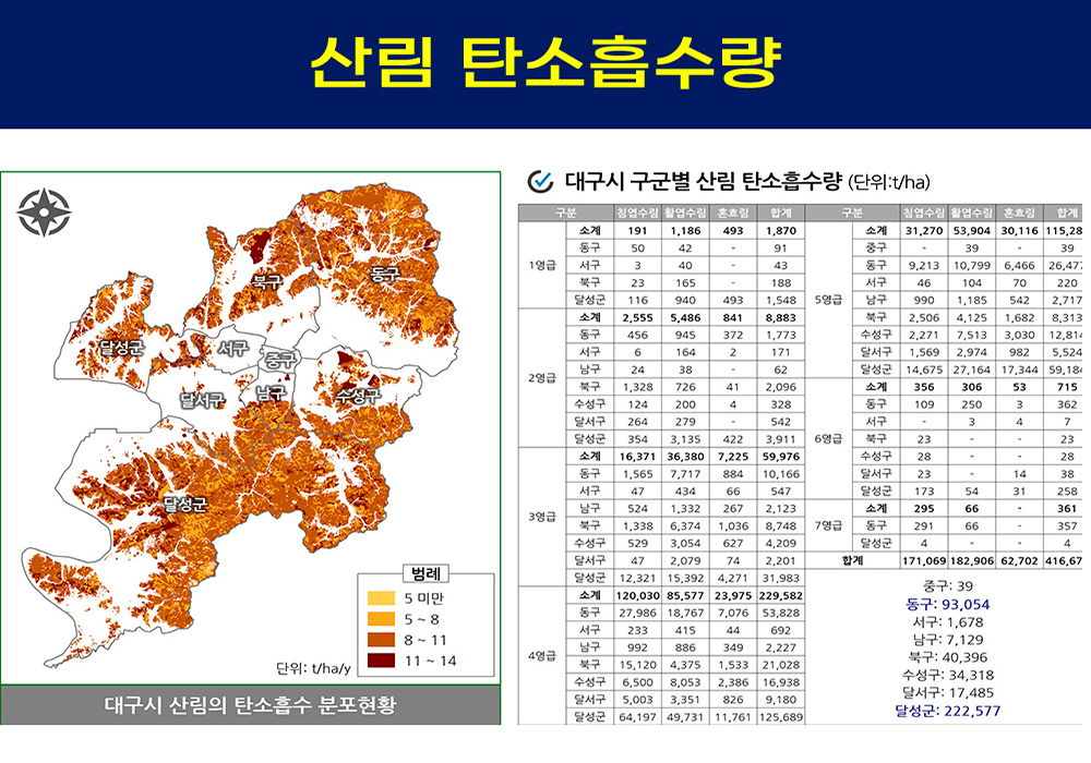 대구 지역 도시림의 탄소흡수 효과 연구